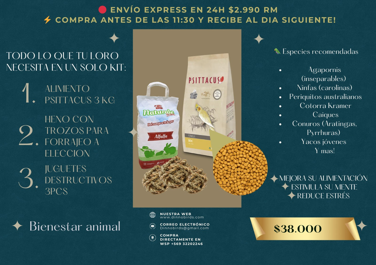 KIT PARA AVES PEQUEÑAS ALIMENTO PSITTACUS 3 KG mini o Minnor + HENO con trozos + JUGUETE