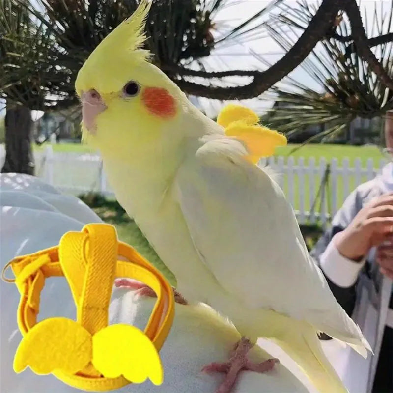 Arnes para loros talla S