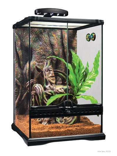 EXO TERRA KIT INICIO GECKO CRESTADO SMAL