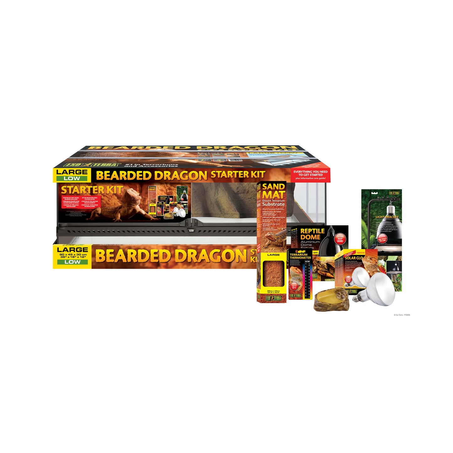 EXO TERRA KIT INICIO DRAGON BARBUDO
