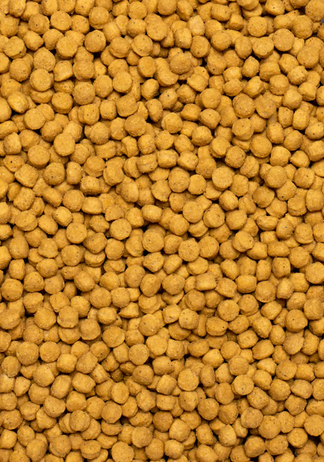 PELLET ALTA PROTEÍNA 3KG Amazonas, Cacatúas, Cacatúas blancas, Cotorras de collar, Loro cabeciazul