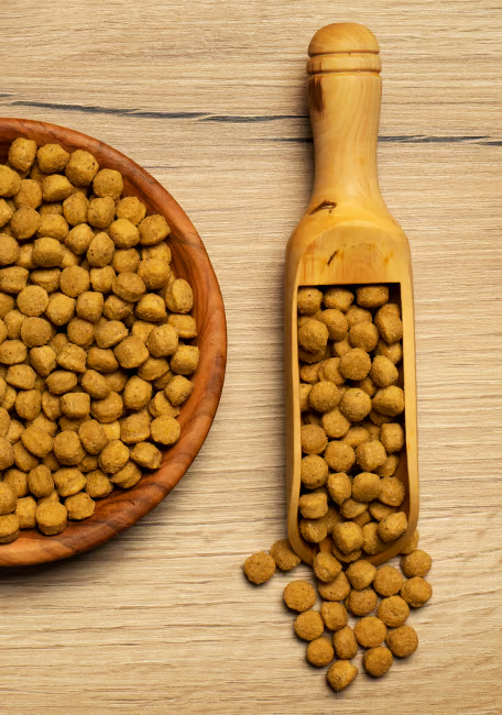PELLET ALTA PROTEÍNA 3KG Amazonas, Cacatúas, Cacatúas blancas, Cotorras de collar, Loro cabeciazul