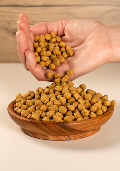 PELLET ALTA PROTEÍNA 800gr Amazonas, Cacatúas, Cacatúas blancas, Cotorras de collar, Loro cabeciazul