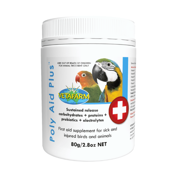 Soporte Digestivo para Aves con Probióticos y Prebióticos -Synbiotic Avian