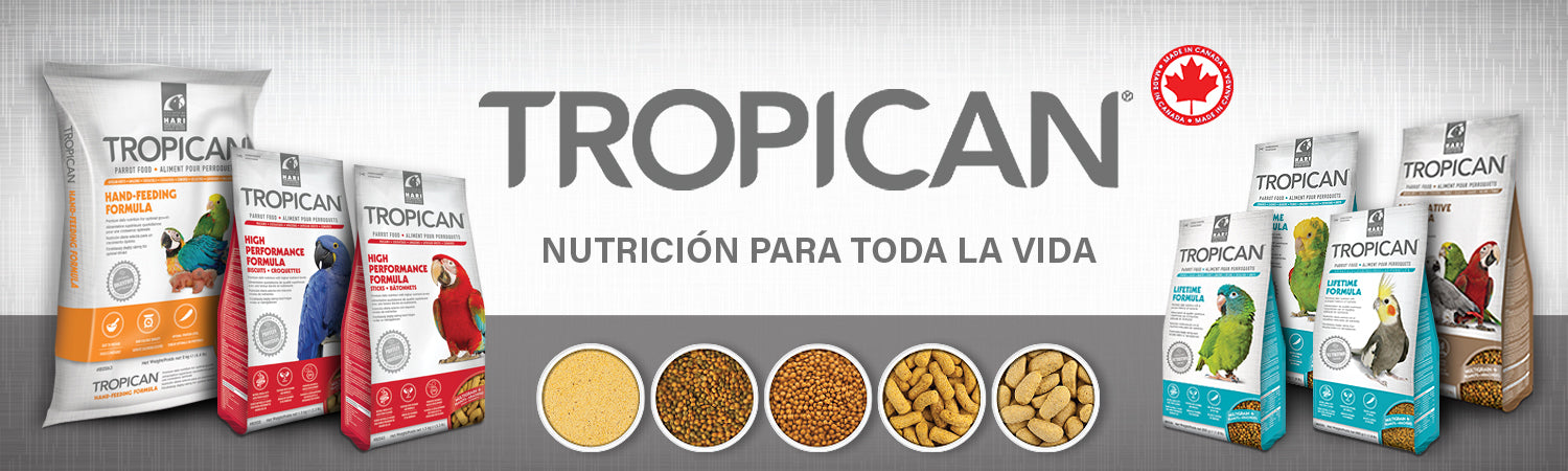 Hagen Tropican