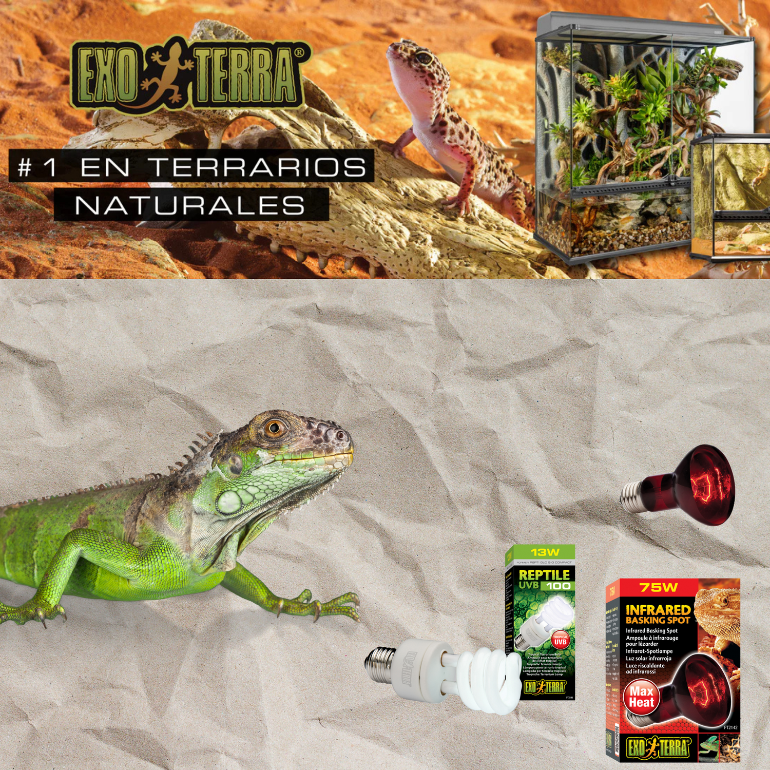 Kit Exo Terra