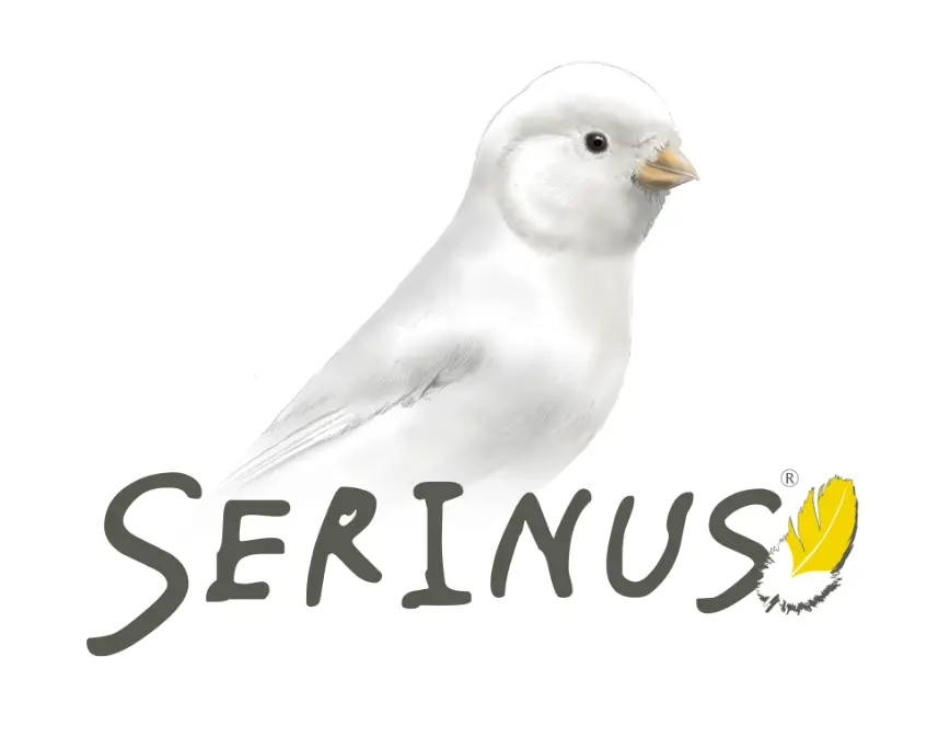 Serinus – DinoBirds