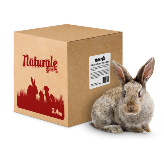 Caja Heno Alfalfa 2.4 kg