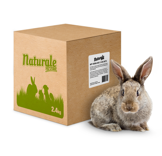 Caja Heno avena 2.4 kg