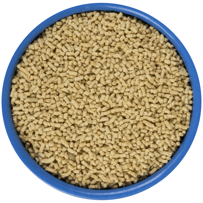 Pellet Para Loris 10KG