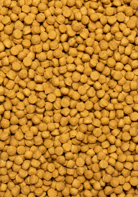 PELLET ALTA PROTEÍNA 3KG      Amazonas, Cacatúas, Cacatúas blancas, Cotorras de collar, Loro cabeciazul