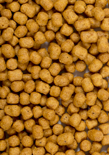 PELLET ETAPA NO REPRODUCTIVA 3KG